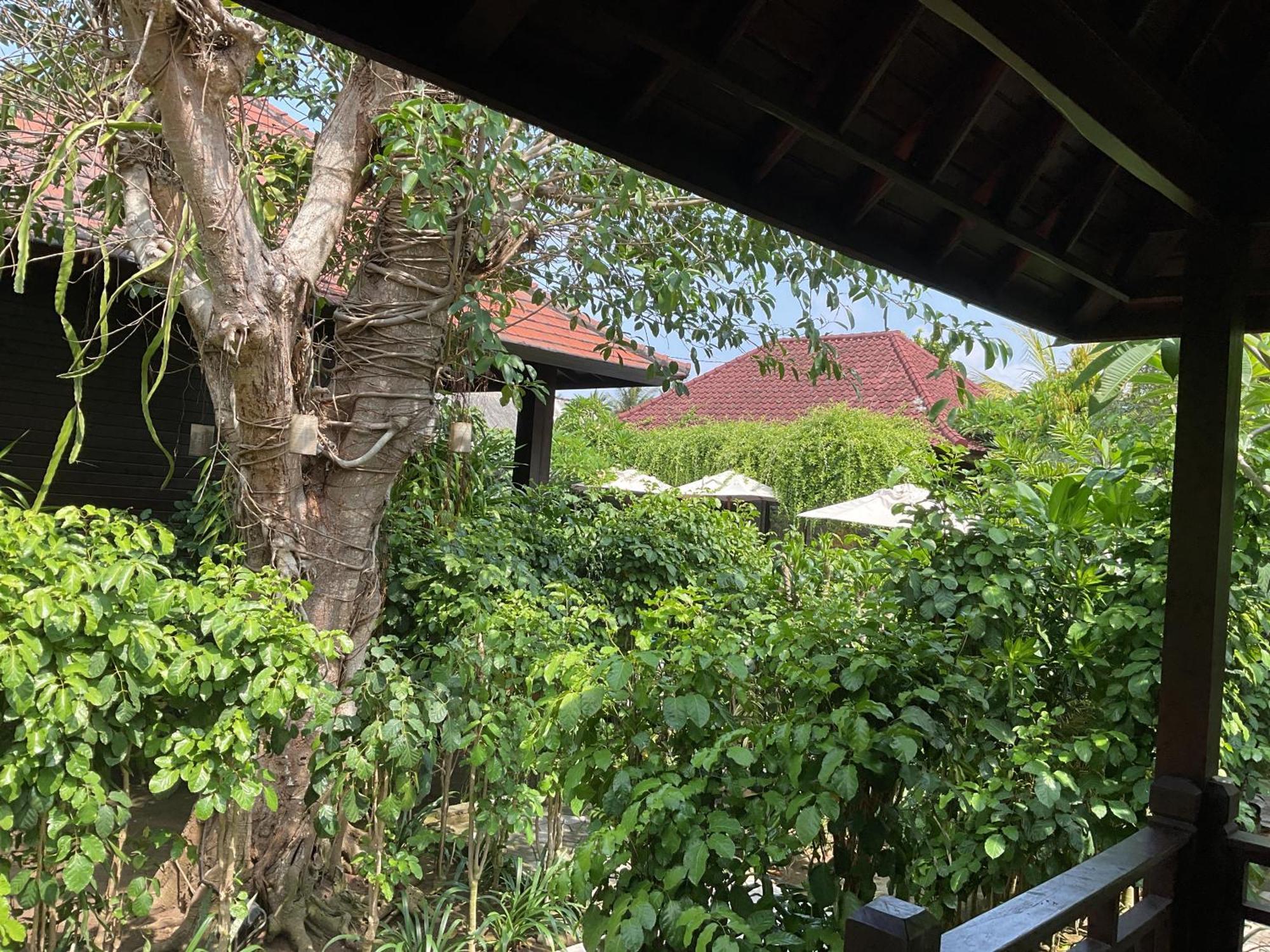 Bunutbali Villas88 Lembongan Esterno foto